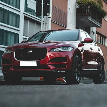 European Repair in Buford, GA