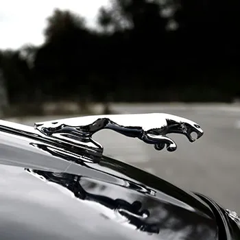 Jaguar Repair and Service in Buford, GA
