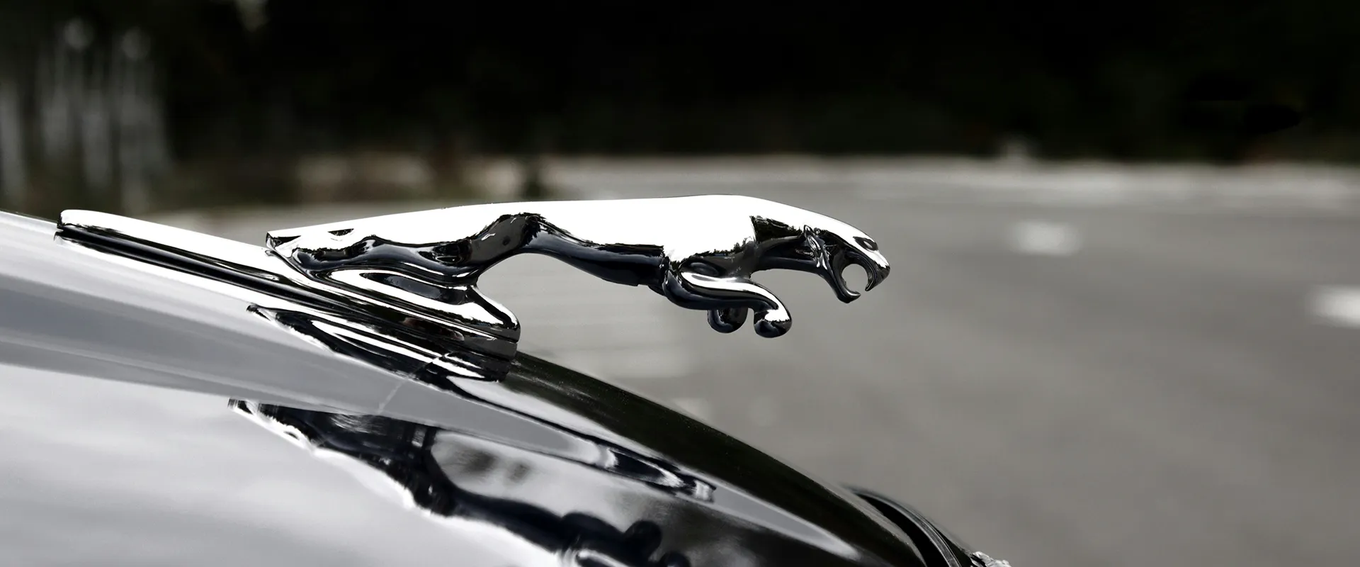 Jaguar Repair and Service near Buford, GA